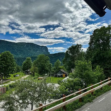 Bijol * Bled