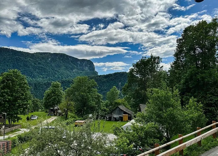 Bijol * ブレッド